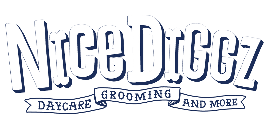 Nice Diggz